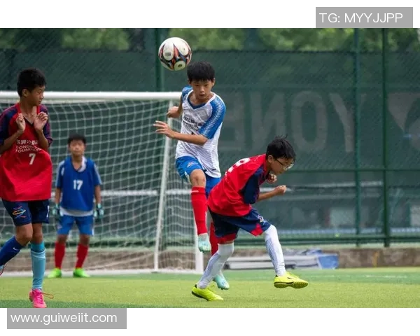 追逐梦想的绿茵场我心中的足球明星之路