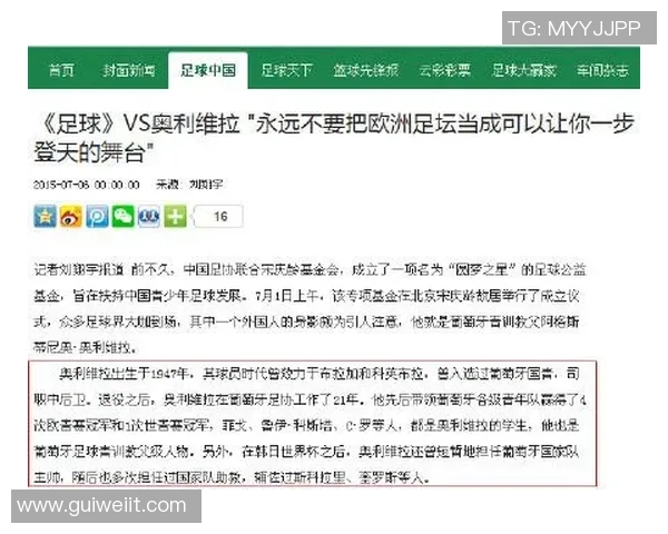 足球明星热度趋势图分析及其对球迷文化的影响探讨