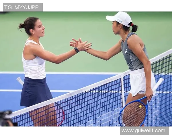 武汉网球队的节奏揭秘:深度解析网球运动的魅力与挑战 武汉网球队的节奏揭秘:深度解析网球运动的魅力与挑战